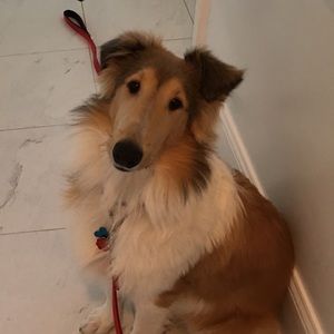 Meet your Posher, Cindy